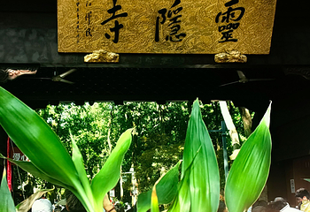 灵隐飞来峰景区第 134 张图片