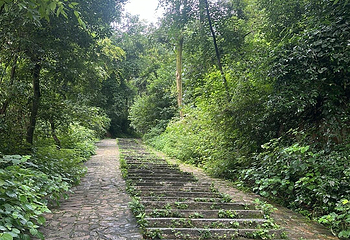岳麓山第 64 张图片