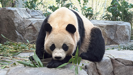 爱宝乐园第 69 张图片