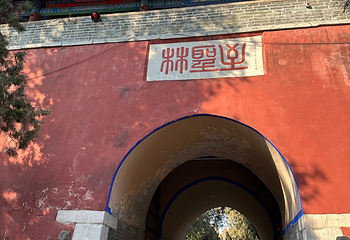 曲阜三孔景区第 175 张图片