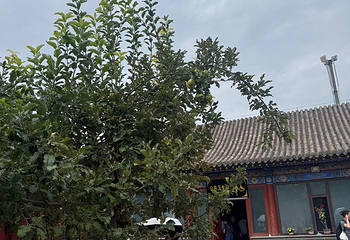 大召寺第 138 张图片