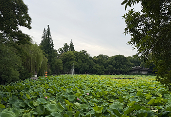 小莲庄第 65 张图片