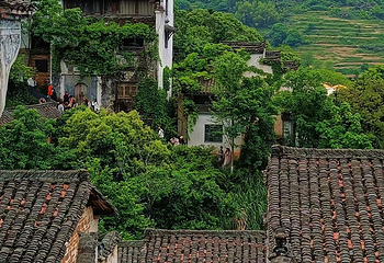 婺源篁岭景区第 282 张图片