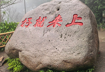 普陀山风景区第 259 张图片
