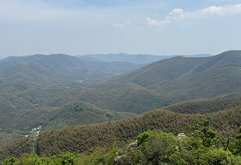 宜兴竹海风景区第 30 张图片