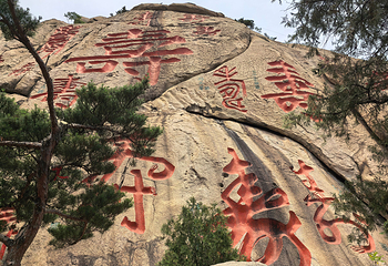 崂山风景区第 216 张图片