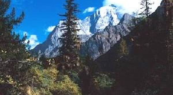 清凉峰国家级自然保护区