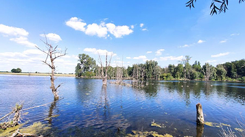 RVR Nature Bislicher Island