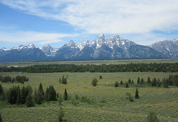Teton Point Turnout第 10 张图片