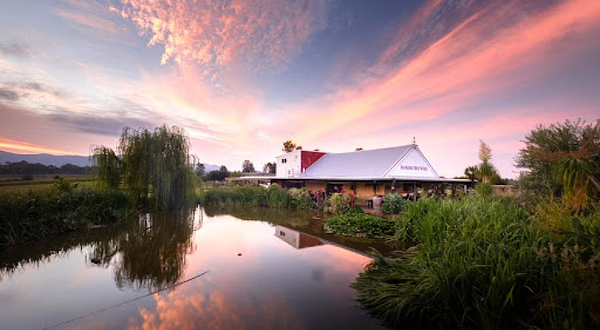 Hanging Tree Wines