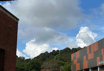 新加坡国立大学第 20 张图片