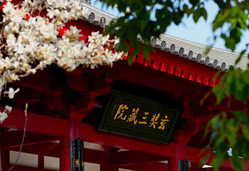 大慈恩寺第 17 张图片