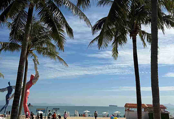 大梅沙海滩第 8 张图片