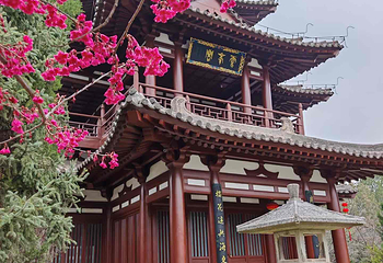 青龙寺第 30 张图片