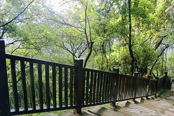 黄葛古道第 8 张图片
