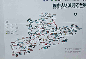 碧峰峡野生动物世界第 126 张图片