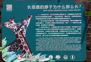 海南热带野生动植物园第 51 张图片