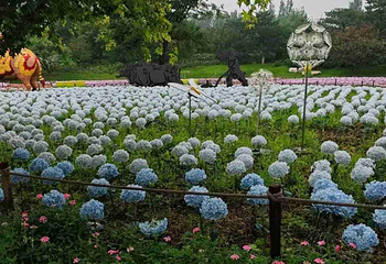 北京世园国际旅游度假区第 100 张图片