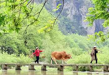 缙云仙都景区第 77 张图片