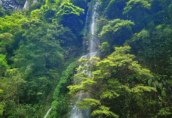 武隆天生三桥第 63 张图片