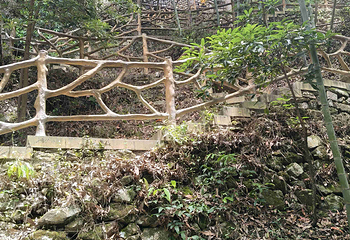雁荡山第 35 张图片