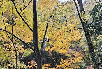 十八月潭景区第 29 张图片