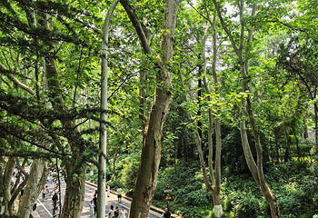 钟山风景名胜区第 128 张图片