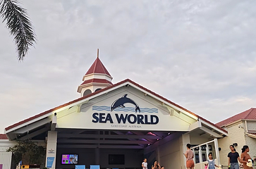 黄金海岸海洋世界第 51 张图片