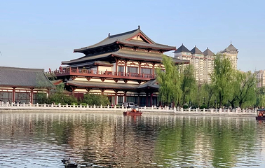 兴庆宫公园第 42 张图片