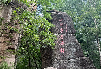 汤旺河林海奇石景区第 23 张图片