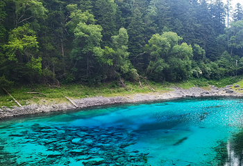 九寨沟风景区第 457 张图片
