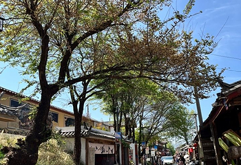 白沙古镇第 56 张图片