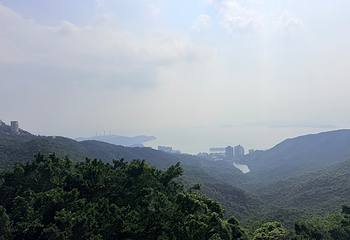 太平山顶第 212 张图片