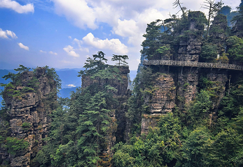 大瑶山盘王界景区第 87 张图片