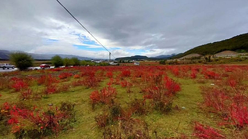 玉龙雪山国家重点风景名胜区下虎跳景区望峡台