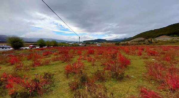 玉龙雪山国家重点风景名胜区下虎跳景区望峡台