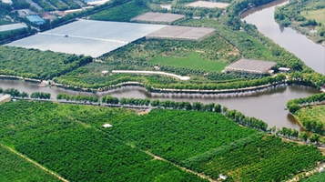 京徽蒙循环农业生态园