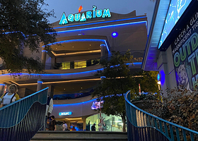 休斯顿市中心水族馆