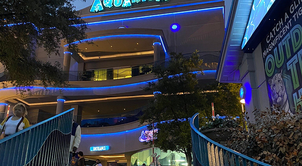 休斯顿市中心水族馆