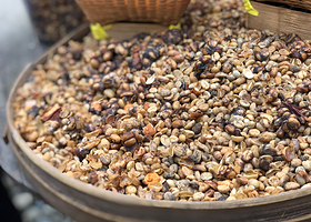 巴厘岛电动自行车之旅