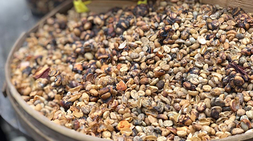 巴厘岛电动自行车之旅