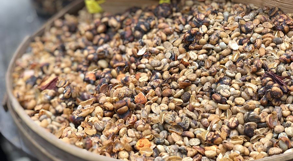 巴厘岛电动自行车之旅