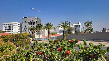 Craft Market (Independence Ave)