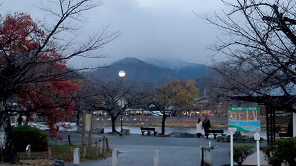 岚山第 42 张图片