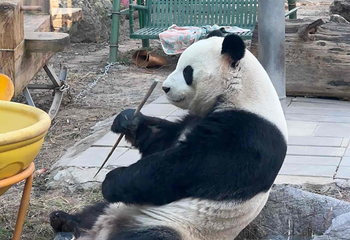 北京动物园第 50 张图片