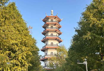 中华麋鹿园第 80 张图片