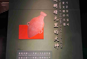 西安半坡博物馆第 67 张图片