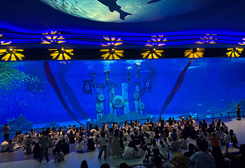 上海海昌海洋公园第 284 张图片