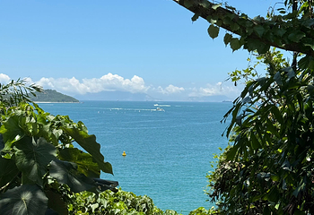 浅水湾第 22 张图片