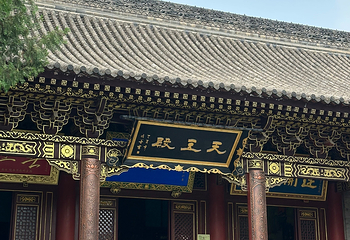 兴庆宫公园第 91 张图片